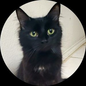 Meet your Posher, Karina